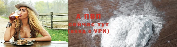 прущие грибы Бугульма