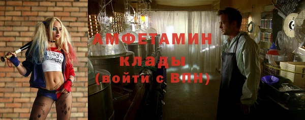 ГАЛЛЮЦИНОГЕННЫЕ ГРИБЫ Беломорск